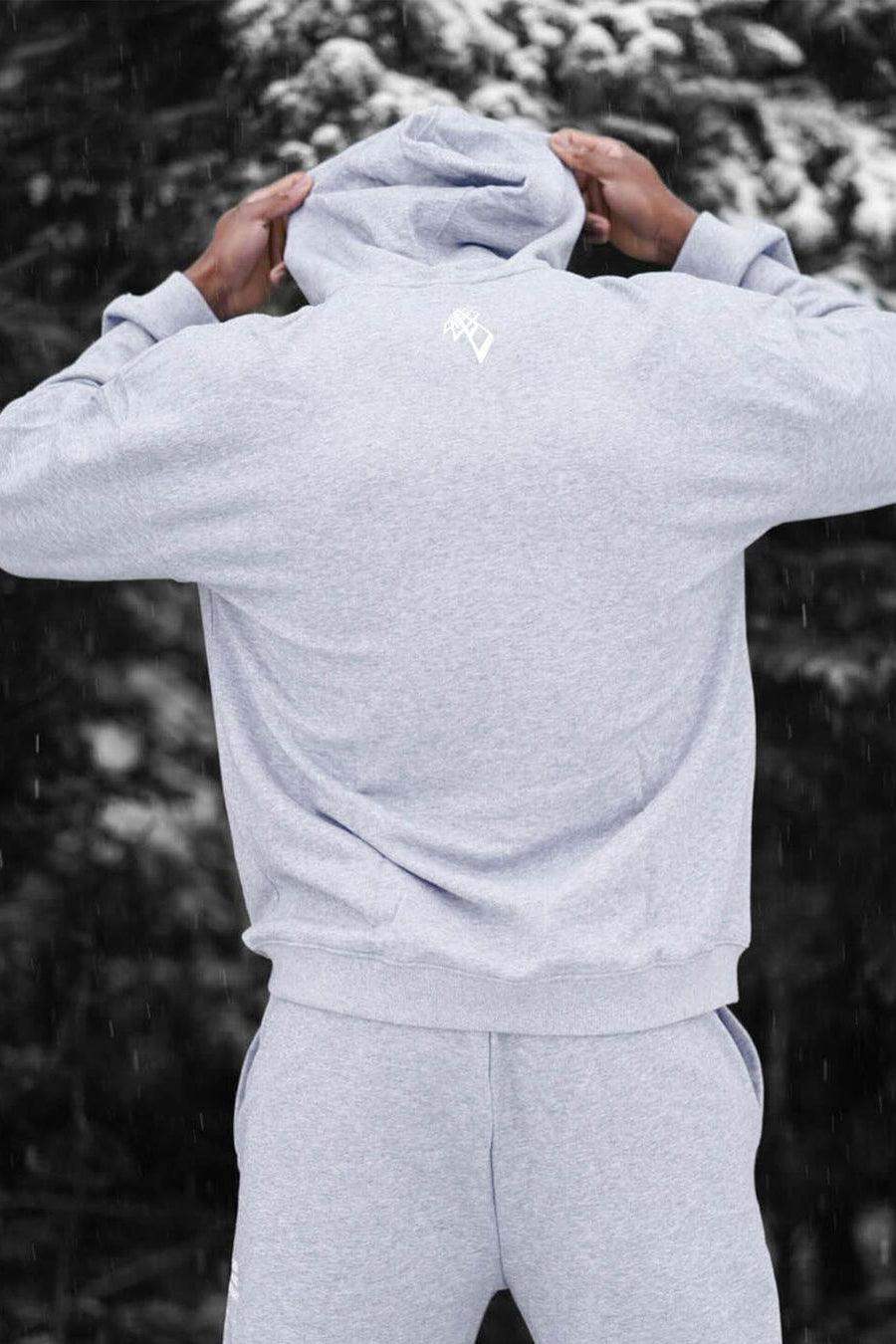 All Or Nothing French Terry Classic Zip-Up Hoodie - Light Gray - Jed North Canada